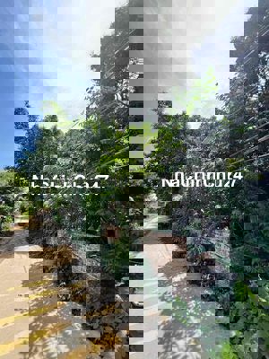 CƠ HỘI VÀNG CHO NHÀ ĐẦU TƯ – CHÍNH CHỦ - LÔ ĐẤT 3 MẶT TIỀN SIÊU ĐẸP MẶ