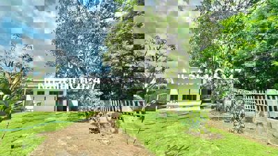 🌳 CHÍNH CHỦ GỬI BÁN NHÀ VƯỜN NGHỈ DƯỠNG LONG KHÁNH - ĐỒNG NAI 🌳