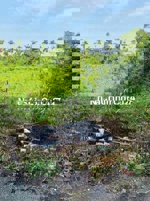 chính chủ lo đất nhi bình 19 (7x34)