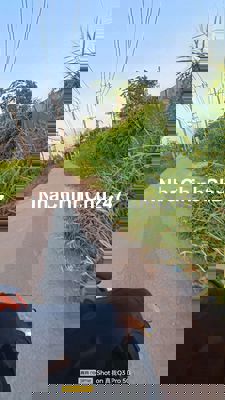 Liên hệ CHÍNH CHỦ Ký ***