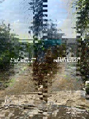 CHÍNH CHỦ BÁN LÔ ĐẤT thổ cư diện tích 5x20m 550tr, Phước Vân, Long An