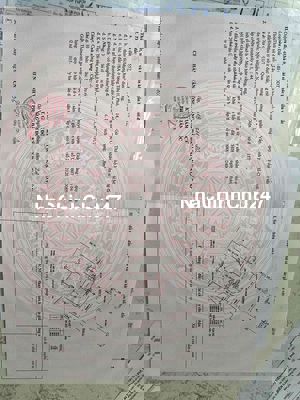 BÁN NHÀ CHÍNH CHỦ HẺM 911/7/8A QUANG TRUNG, P14, QUẬN GÒ VẤP