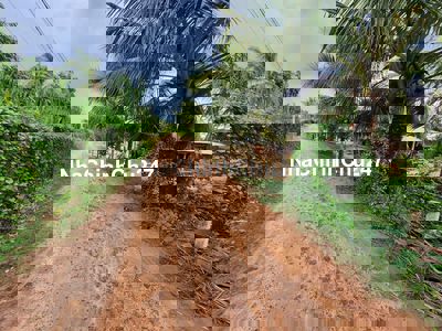 Chính chủ bán gấp lô đất 2 mặt tiền 5x30  thổ cư 143 m2 giá 290tr