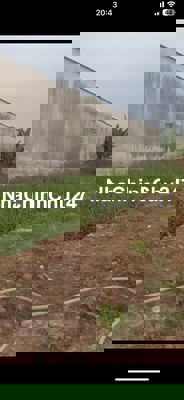 CHÍNH CHỦ GỬI LÔ ĐẤT 1 SẸC ĐƯỜNG N2, DIỆN TÍCH 147M2, SHR, FULL THỔ