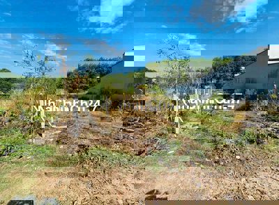 Cần bán nhanh lô đất 203m² – Nhữ Tiến Hiến – SHR – giá rẻ chính chủ