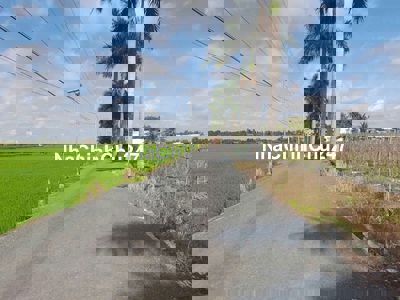 Chủ kẹt tiền. Bán 186m2 thổ cư chỉ 450tr ktl, Đức Tân, Tân Trụ