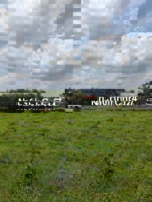 CHỦ CẦN RA GẮP LÔ DIỆN TÍCH LỚN 1005M2 CÓ THỔ CƯ SHR GIÁ CHỈ 600TR