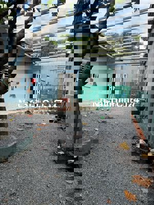 NGỘP NẶNG ! Chính chủ bán nhanh xã Thới Tam Thôn, 161m2, SHR, 2 tỷ 135