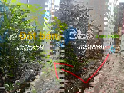 Chính chủ bán 45m2 đất Cự Khê Thanh Oai