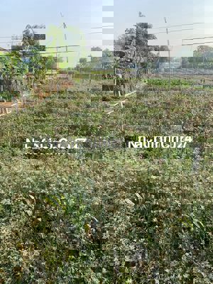 Tôi chính chủ cần bán đất mặt tiền  200m2 full thổ cư , tại cần giuộc