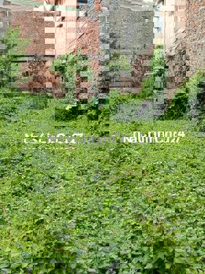 Chính chủ nhờ bán đất Giang Cao, Bát Tràng, 228m, MT 15m, 8,5 tỷ