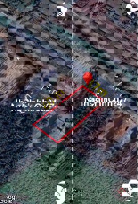 Bán đất nông nghiệp 1000m2 chính chủ tại xã Lê Minh Xuân - Bình Chánh