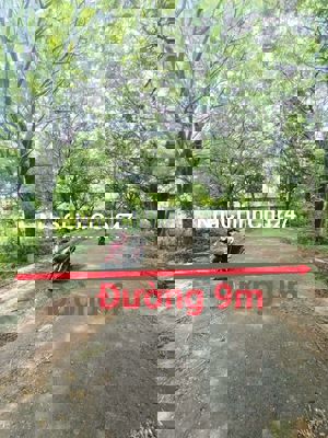 Chính chủ kẹt tiền cần  bán giá tốt 4t250/81m2