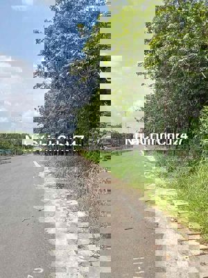 ĐẤT NGỢP TÂY NINH! CHỦ MUỐN XÓA NỢ