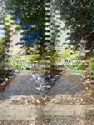 CHÍNH CHỦ BÁN ĐẤT SỔ HỒNG RIÊNG HUỲNH TẤN PHÁT 5X16M GIÁ 4 TỶ 849 TR