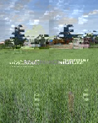 chính chủ kẹt tiền bán đất mặt tiền 1/ kênh liên vùng xã vĩnh lộc b