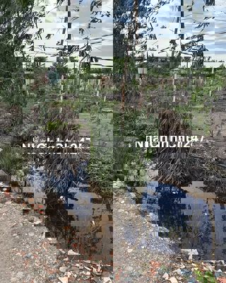 Chủ kẹt tiền bán đất cạnh nhà dân  có thể làm chồi trồng cây