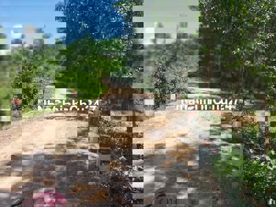 Bán đất chính chủ giá tốt