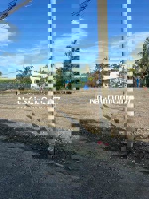 Sổ hồng sẵn chính chủ Thổ cư 117m2 Cần đước, Long An