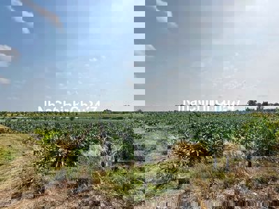 Đất chính chủ Mặt tiền Kênh 11, SHR, gần KCN Lê Minh Xuân,