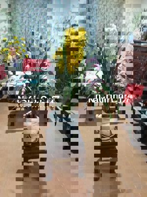 Chính chủ cần bán căn hộ 74m² đủ nội thất Nam Trung Yên Cầu Giấy HN