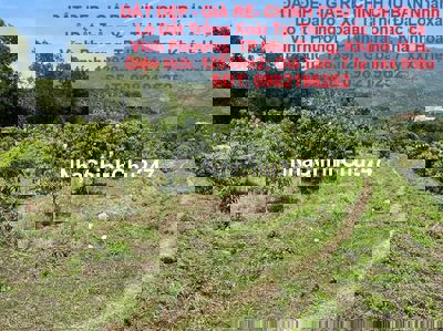 CHỦ BÁN Nhanh Lô Đất Trồng Xoài Tại Vĩnh Phương, Nha Trang, Khánh Hòa