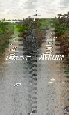 Chính Chủ Bán Đất Đường Xe Hơi Gần Nguyễn Thị Ly Xuân Thới Sơn HM