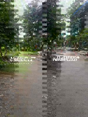 Chính Chủ Bán Đất 8 x 20 Bà Điểm Đường 12m Giá Rẻ