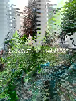 ĐẤT HIẾM HOÀNG MAI (100TR/M) 60M2, MẶT TIỀN 4.2M,SỔ CHÍNH CHỦ  6.05 TỶ