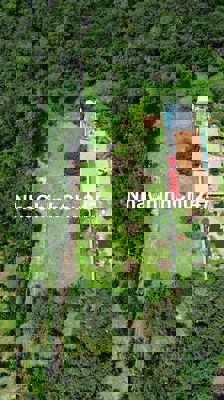 Chính chủ bán gấp lô đất thổ cư sổ riêng hẻm Điểu Xiển Bầu Trâm