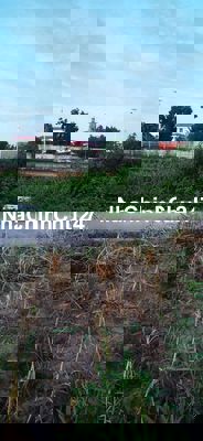 Chính chủ bán đất gần chùa Giác Hoa