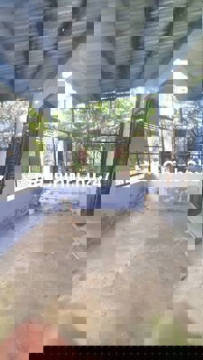 Mua nhà và phòng trọ rẻ hơn mua đất. Chủ cần bán quý vị ạ