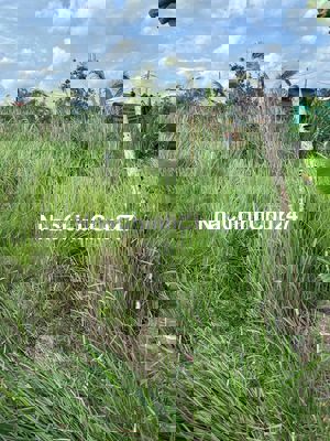 Bán đất đường liên ấp 26 1 xẹt chính chủ