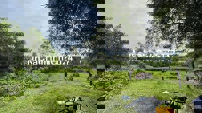 chủ gửi bán 3500m2 có 200m2 thổ cư sát bên KCN Long Đức