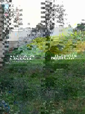 Bán Đất Chính Chủ Cơ Hội Sinh Lời Trong Tương Lai