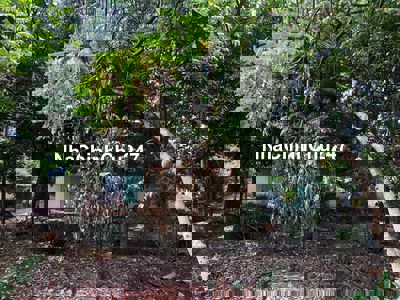 620TR/454M2 Ở TRÂN PHÚ TRUNG CHỦ CẦN RA NHANH TRONG THÁNG BỚT ÍT LỘC