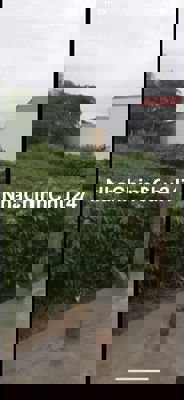 Bán đất full thổ cư 240m2 chính chủ