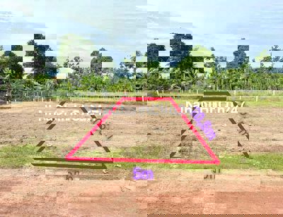 Chính chủ bán đất đối diện KCN Hưng Thuận 103m2 full TC TX Trảng Bàng