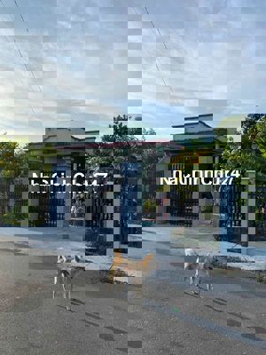 Đất Chính Chủ .