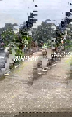 Chính Chủ Bán Gấp Mảnh 54m2 Đông La,Hoài Đức - Oto Đỗ Vào Trong Đất