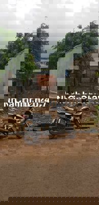 CẦN BÁN ĐẤT THỔ CƯ - CHÍNH CHỦ