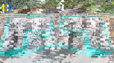 Chủ nhà bán căn hộ Essensia Sky - 74 m2 bán 5,4 (VAT và BT 2%)