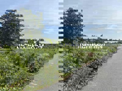 CHỦ NGỘP – BÁN GẤP LÔ ĐẤT ĐẸP HOÀNG PHAN THÁI SHR GIÁ CHỈ 1 TỶ280