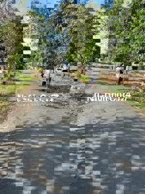 CHỦ NGỘP CẦN BÁN GẤP LÔ ĐẤT MT ĐƯỜNG 12OM2 THỔ CƯ,SHR, CÔNG CHỨNG NGAY