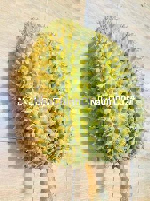 NHÀ CHÍNH CHỦ BÁN GIÁ RẺ CHO AI TÀI CHÍNH NHỎ