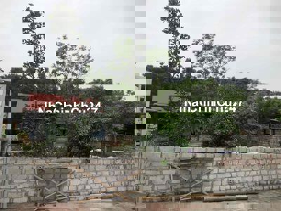 chính chủ bán đất