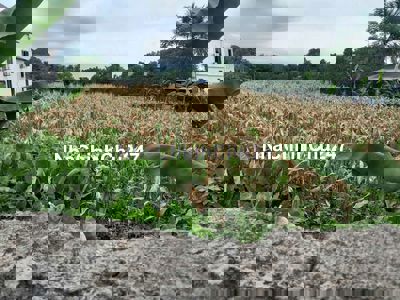 NÓNG CHÍNH CHỦ CẦN BÁN GẤP