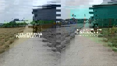 Chính chủ cần bán đất nền thổ Bình Trinh Đông, Tân Trụ, Long An