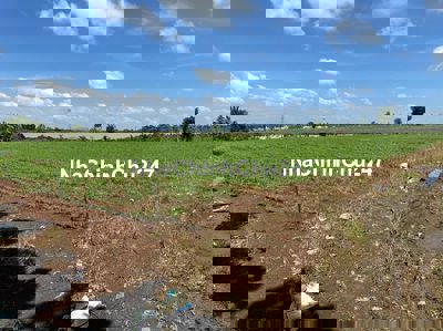 Chính chủ cần bán gấp đất trồng cây lâu năm ở Ngã 3 Gia Huynh