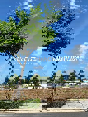 CHỦ VỠ NỢ BÁN GẤP ĐẤT 2 MẶT TIỀN NGUYỄN CỬU PHÚ_880TR_80M2_SHR